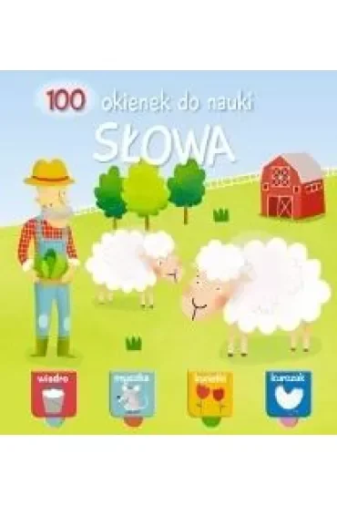 100 okienek do nauki. Słowa