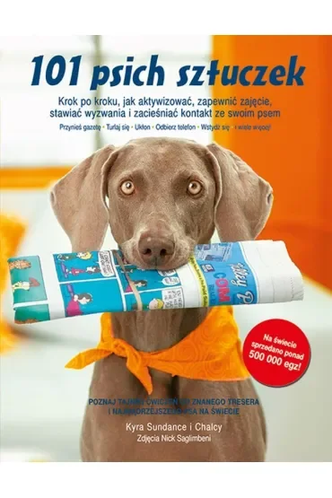 101 psich sztuczek