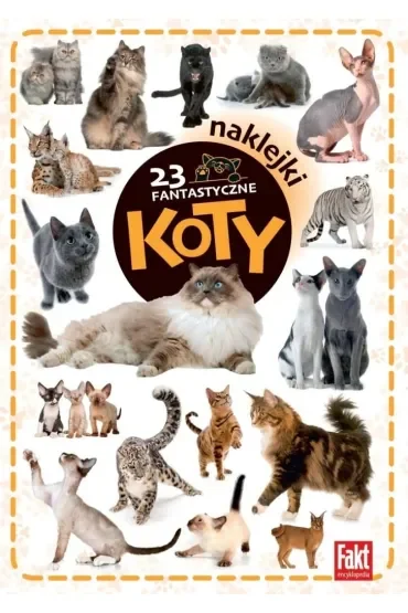 23 fantastyczne koty