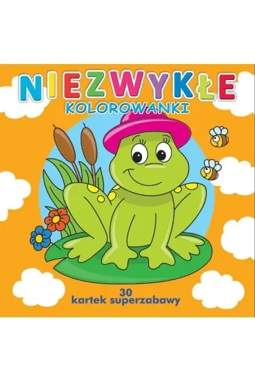 30 kartek superzabawy.Niezwykłe kolorowanki