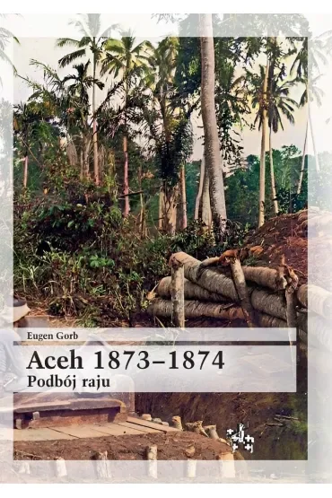 Aceh 1873-1874 podbój raju
