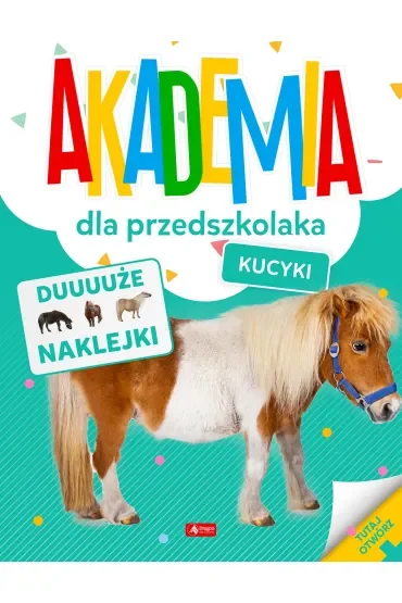 Kucyki. Akademia dla przedszkolaka