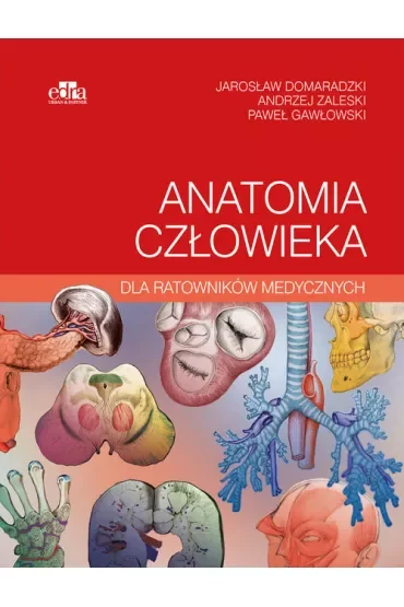 Anatomia człowieka dla ratowników medycznych