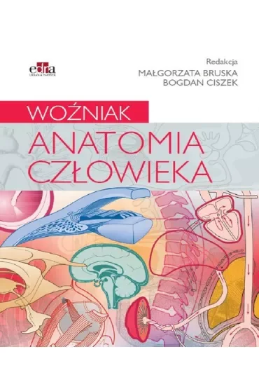 Anatomia człowieka. Woźniak