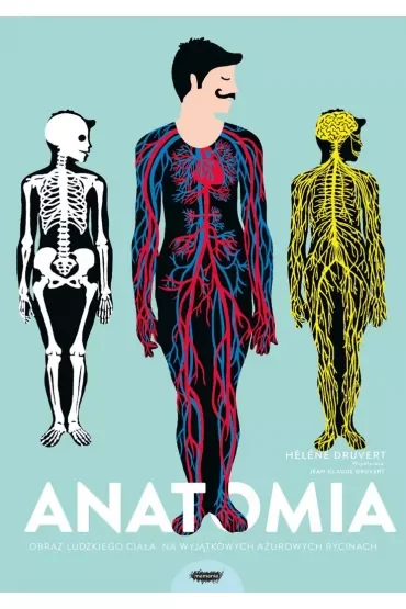 Anatomia. Obraz ludzkiego ciała na wyjątkowych ażurowych rycinach