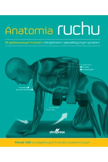 Anatomia ruchu. Podręcznik ćwiczeń