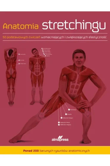 Anatomia stretchingu. 50 podstawowych ćwiczeń wzmacniających i zwiększających elastyczność