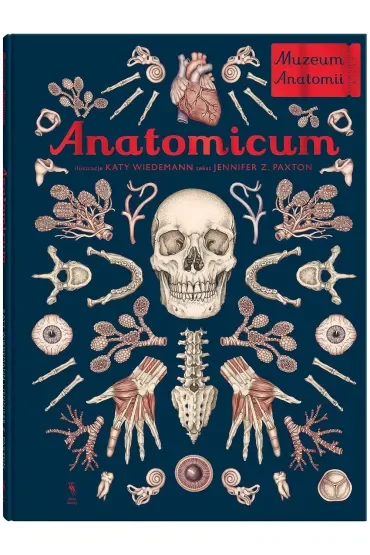 Anatomicum. Muzeum Anatomii