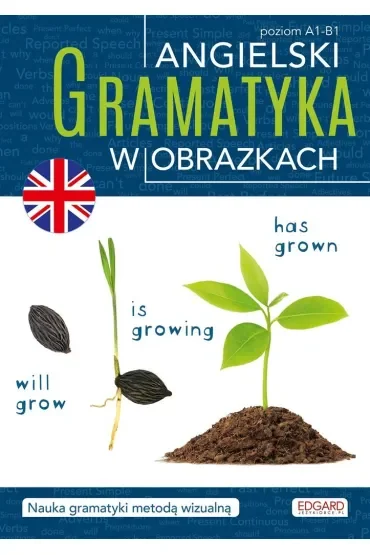 Angielski. Gramatyka w obrazkach