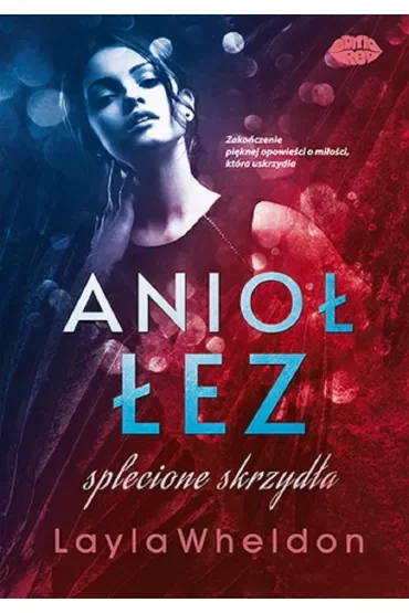Anioł łez. Splecione skrzydła. Tom 4