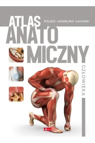 Atlas anatomiczny człowieka