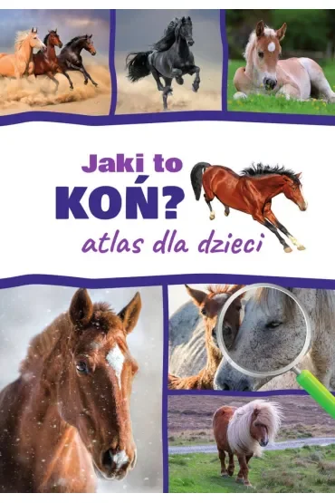 Jaki to koń? Atlas dla dzieci