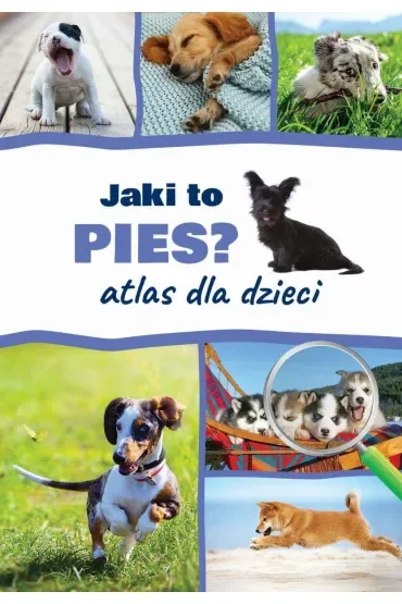 Jaki to pies? Atlas dla dzieci