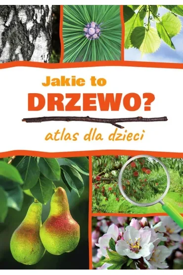 Jakie to drzewo? Atlas dla dzieci