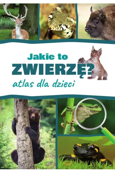 Jakie to zwierzę? Atlas dla dzieci