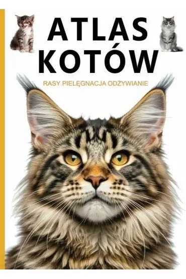 Atlas kotów