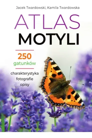 Atlas motyli