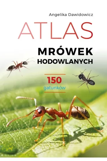 Atlas mrówek hodowlanych. 150 gatunków