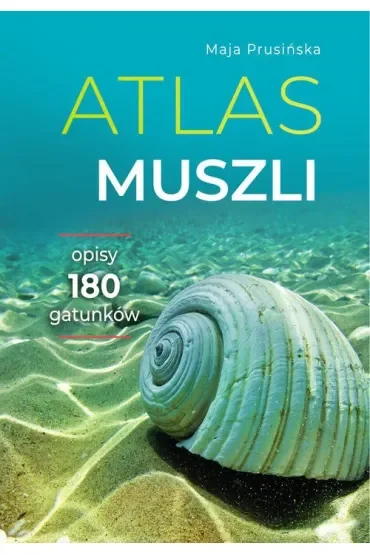 Atlas muszli
