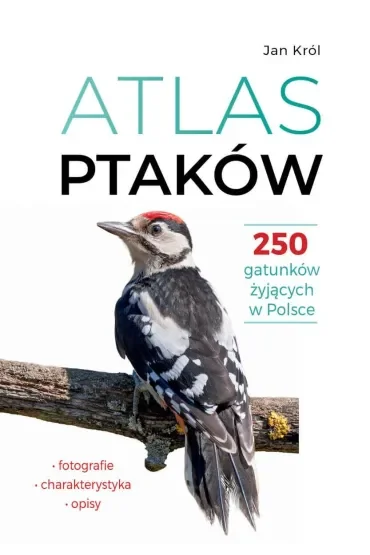 Atlas ptaków. 250 gatunków żyjących w Polsce