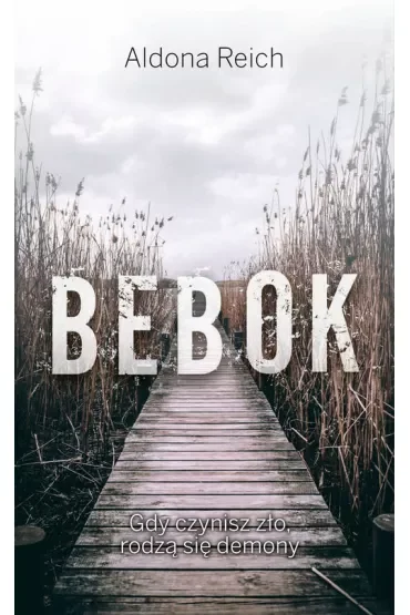 Bebok. Tomasz Radwan. Tom 1