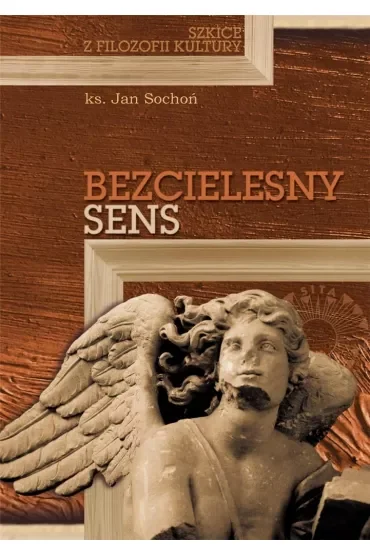Bezcielesny sens. Szkice z filozofii kultury