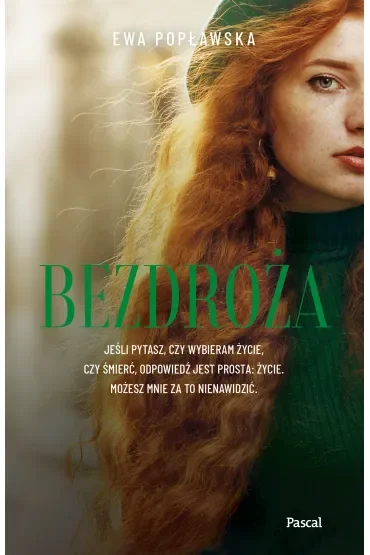 Bezdroża