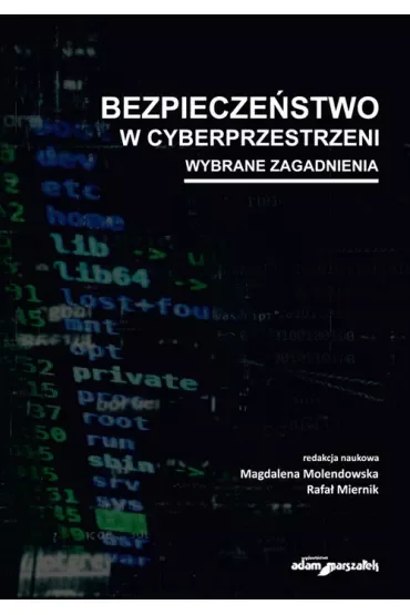 Bezpieczeństwo w cyberprzestrzeni. Wybrane zagadnienia