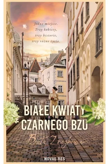 Białe kwiaty czarnego bzu