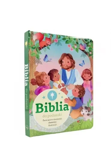 Biblia do poduszki
