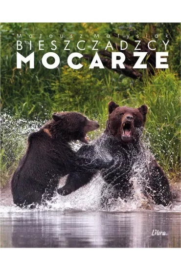 BIESZCZADZCY MOCARZE OKŁADKA Z NIEDŹWIEDZIAMI