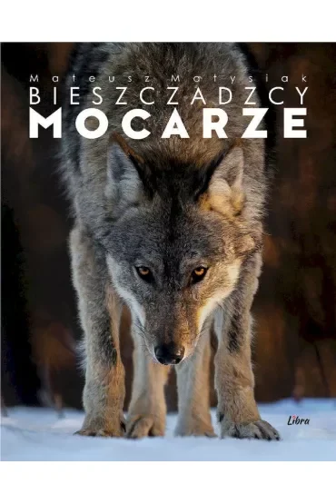 BIESZCZADZCY MOCARZE OKŁADKA Z WILKIEM