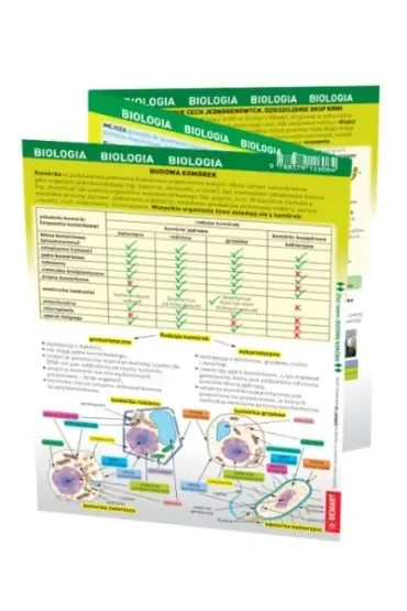 Biologia. Maxi ściąga