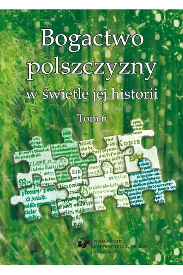 Bogactwo polszczyzny w świetle jej historii T. 6