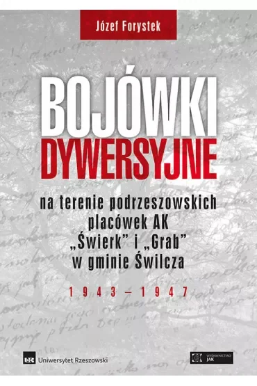 Bojówki dywersyjne TW