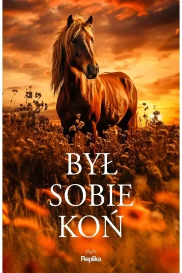 Był sobie koń