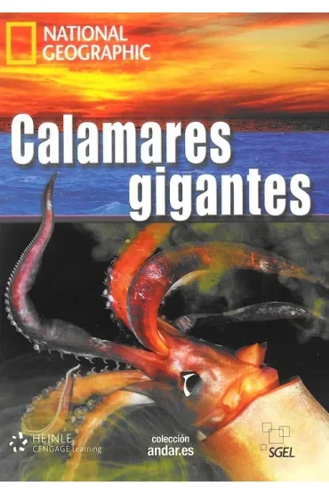 Calamares gigantes C1