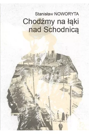 Chodźmy na łąki nad Schodnicą
