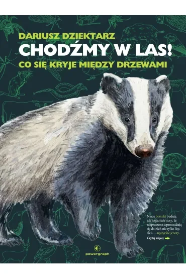 Chodźmy w las! Co się kryje między drzewami