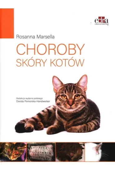 Choroby skóry kotów