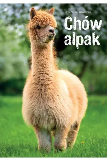 Chów alpak