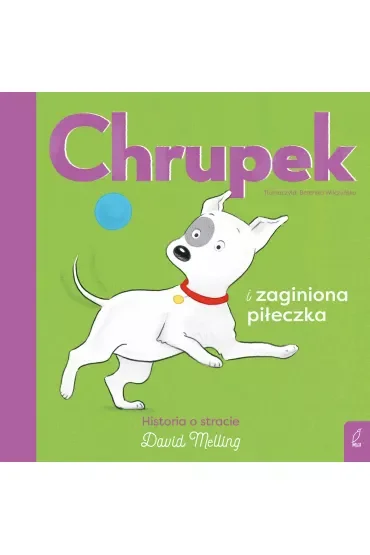 Chrupek i zaginiona piłeczka