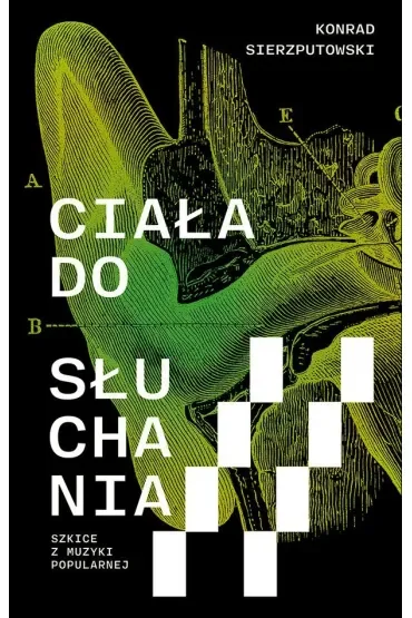 Ciała do słuchania. Szkice z muzyki popularnej