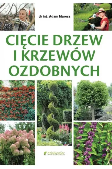 Cięcie drzew i krzewów ozdobnych