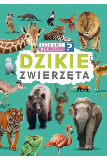 Ciekawe dlaczego? Dzikie zwierzęta