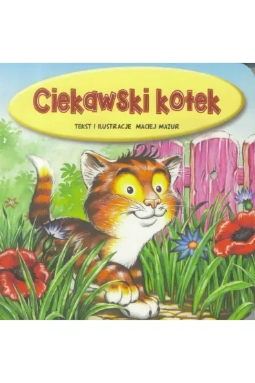 Ciekawski kotek