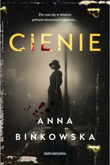 Cienie. Komisarz Jakub Mortka. Tom 5