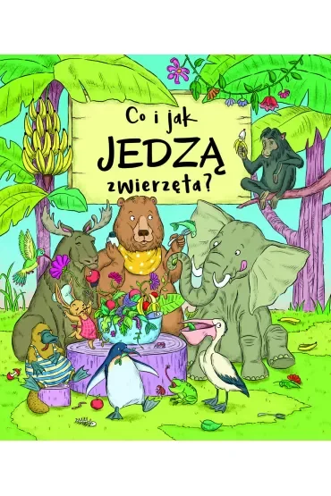Co i jak jedzą zwierzęta?