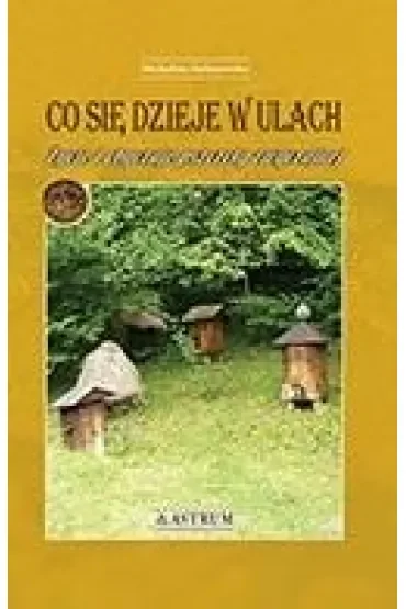 Co się dzieje w ulach