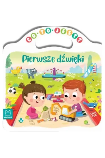 CO TO JEST  PIERWSZE DŹWIĘKI